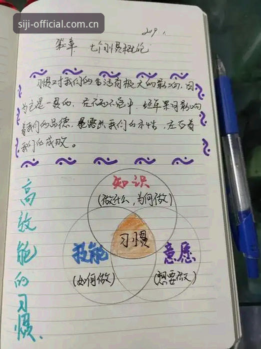 资深用户教你玩转四季官网安卓版：稳定入口与高效导航的使用心得